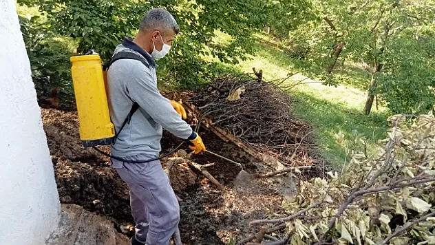 Büyükşehir Belediyesi ilaçlama çalışmalarına devam ediyor