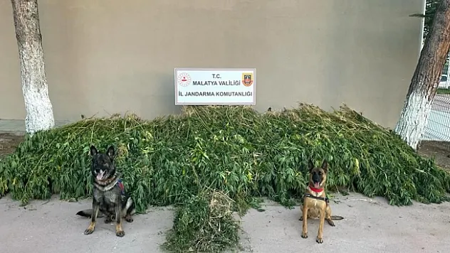 Malatya'da dronlu uyuşturucu operasyonu