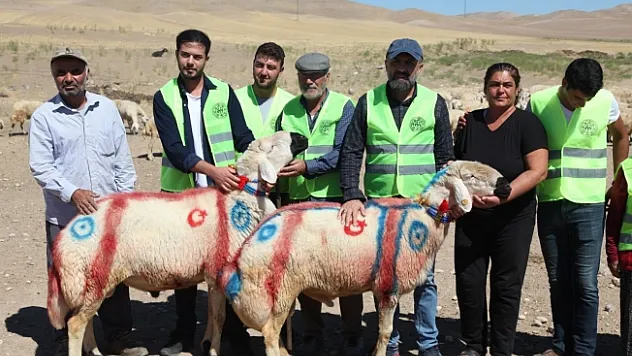 Malatya'da 'Koç Katım Şenliği' düzenlendi