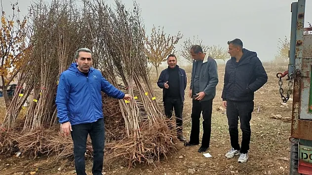 Akçadağ'da 540 adet sertifikalı badem fidanı dağıtıldı