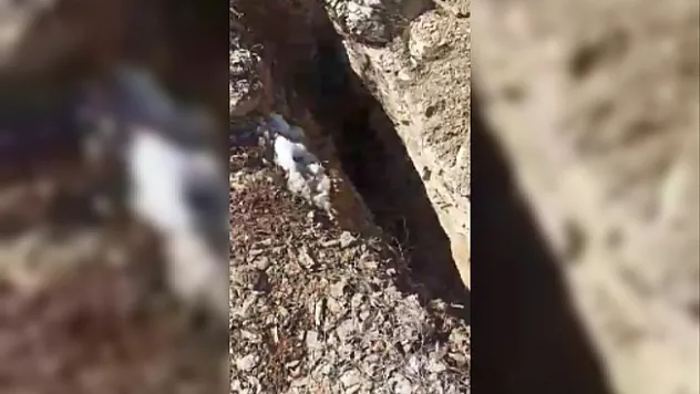 Metrelerce fay kırığı ortaya çıktı
