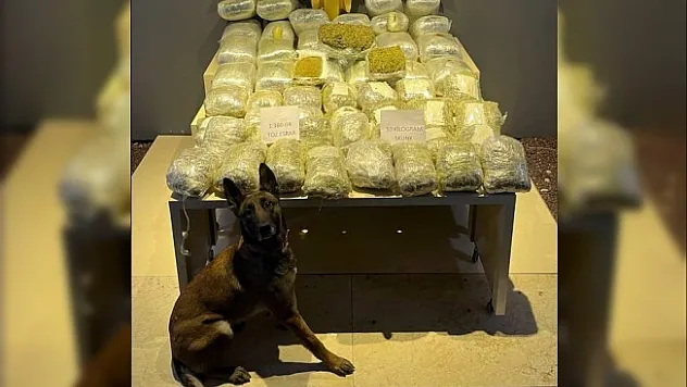 Yolcu otobüsünde 52 kilo uyuşturucu ele geçirildi