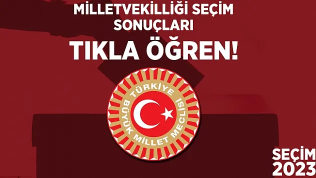 İşte Milletvekilliği seçim sonuçları
