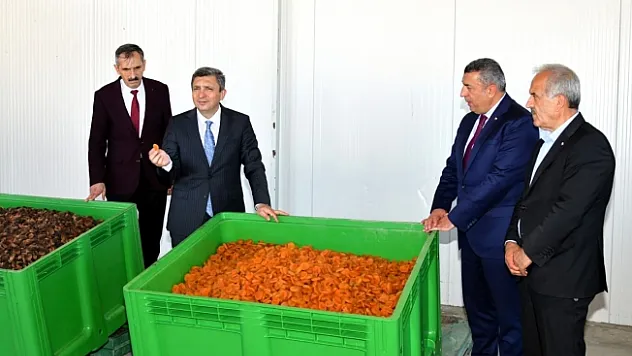 2023 yılı tahmini rekoltesi 77 bin 170 ton