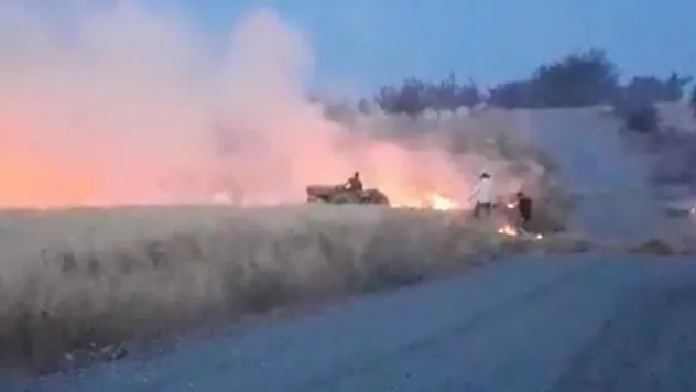 Arpa ekili tarlada korkutan yangın