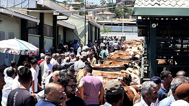 Canlı Hayvan Pazarı'nda Arife günü yoğunluğu