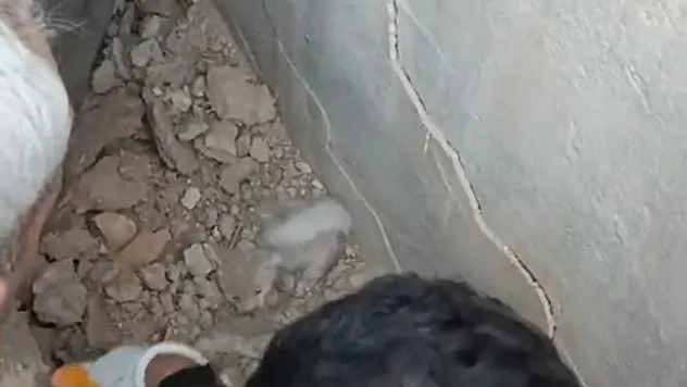 Enkaz altında kalan kedi yavrularını itfaiye kurtardı