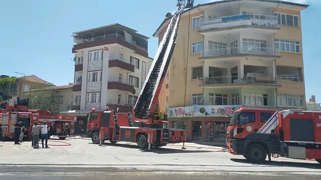 Yangında etkilenen güvercinleri itfaiye kurtardı