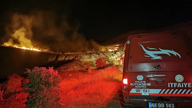 Malatya'da ormanlık alanda yangın!