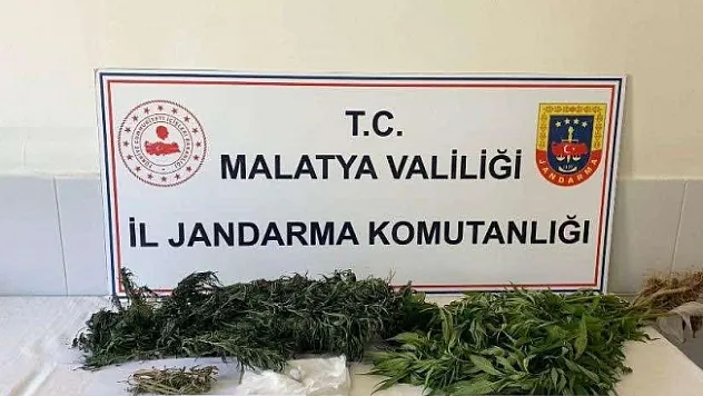 Uyuşturucu operasyonu: 2 gözaltı
