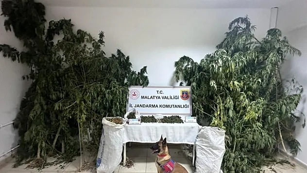 Malatya'da zehir tacirlerine büyük darbe: 2 tutuklama