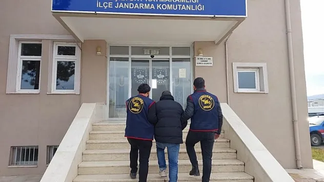 Cinayet zanlısı yakalandı