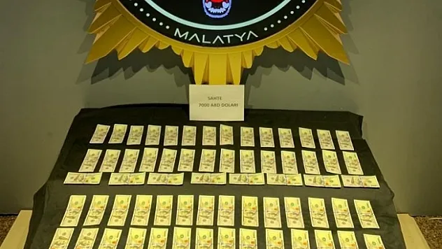 Malatya'da sahte 7 bin dolar ele geçirildi