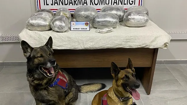 Malatya'da 18 kilo kubar esrar ele geçirildi