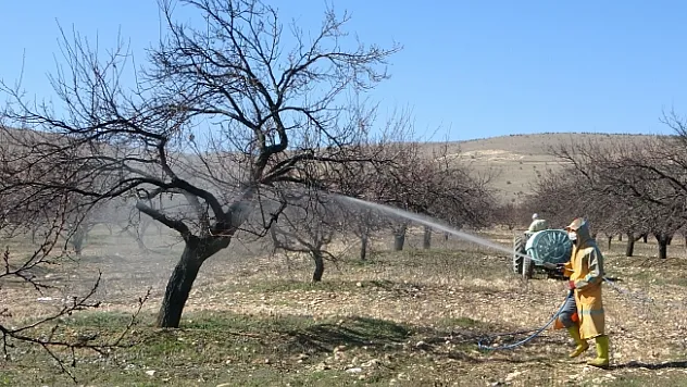Malatya'da kayısı ağaçları erken tomurcuklandı!