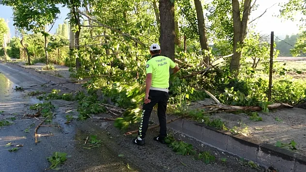 Malatya'da 15 dakikalık fırtına ağaçları devirdi