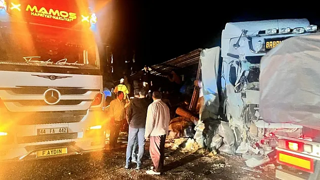 Malatya'da yem yüklü TIR devrildi