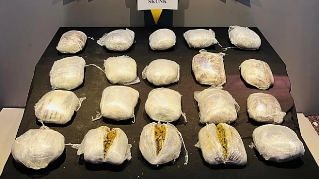 Yolcu otobüsünde 13 kilogram skunk ele geçirildi