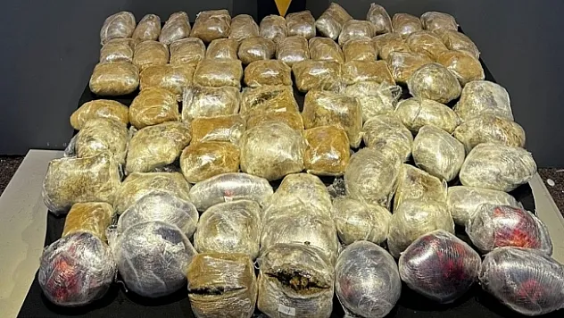 Malatya'da 44 kilogram skunk ele geçirildi