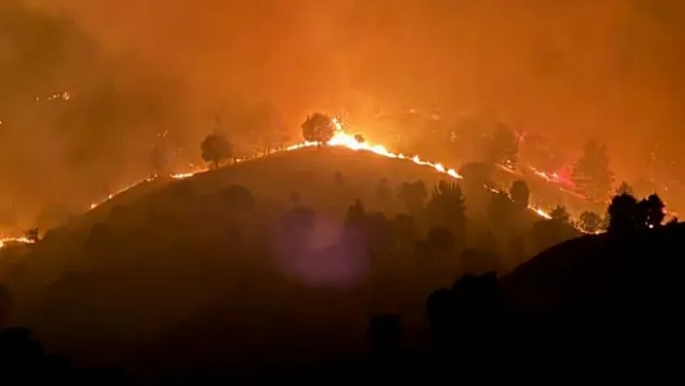 Pütürge'de 3 ayrı noktada büyük yangın!