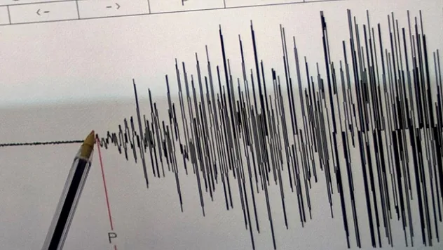 Japonya'da 7,1 büyüklüğünde deprem