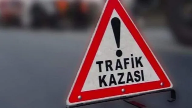 Karayoluna çıkan domuz kazaya neden oldu