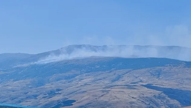 Pütürge'de arazi yangını! Ormanlık alana sıçradı