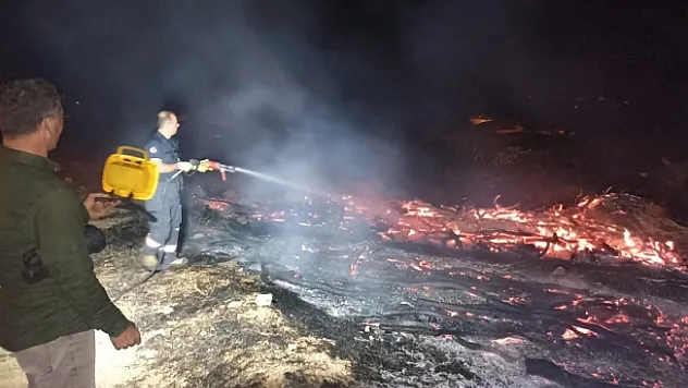Tonlarca kayısı odunu yangında kül oldu