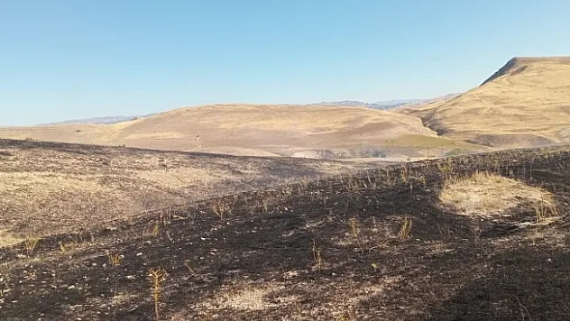 Arguvan'da anız yangını
