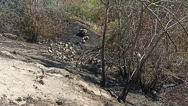 Darende'de bahçe yangını