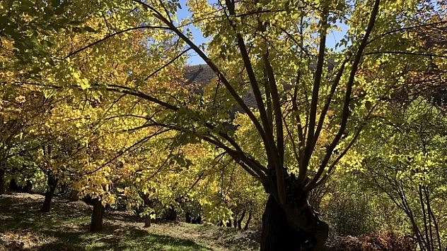 Arapgir ilçesi hayran bırakıyor
