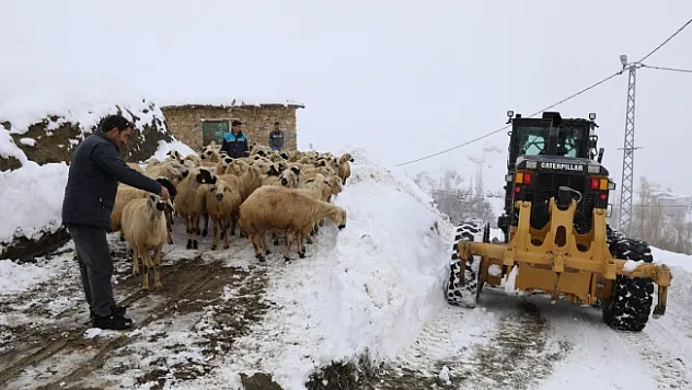 Karagöz Mahallesi'nde seferberlik başlatıldı
