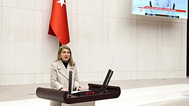 Deprem bölgesine ne kadar ödenek ayrıldı?