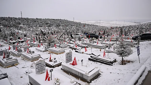 2025'te 4 Bin 733 Defin İşlemi Gerçekleştirildi!