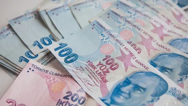 Kişi başına düşen milli gelir açıklandı