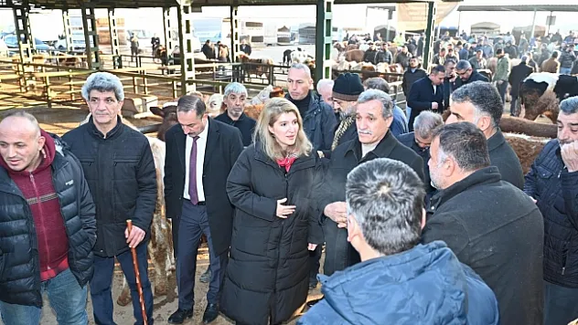 Malatya Canlı Hayvan Pazarı için yeni proje!