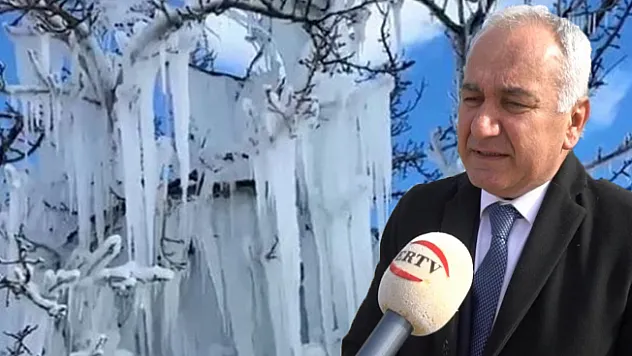 Üretici buz tutan kayısı ağaçları için tedirgin! Çiçek üreticiye seslendi..!