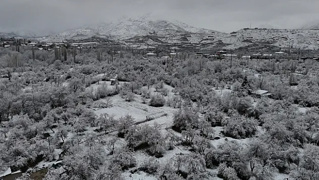 Malatya'da kayısı bahçeleri don tehlikesiyle karşı karşıya