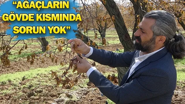 Üreticilerin dikkatine!