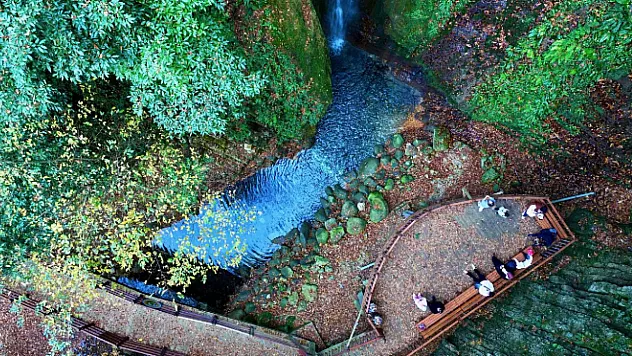 50 Bin Kişiye İstihdam: Orman Parkları Güçleniyor