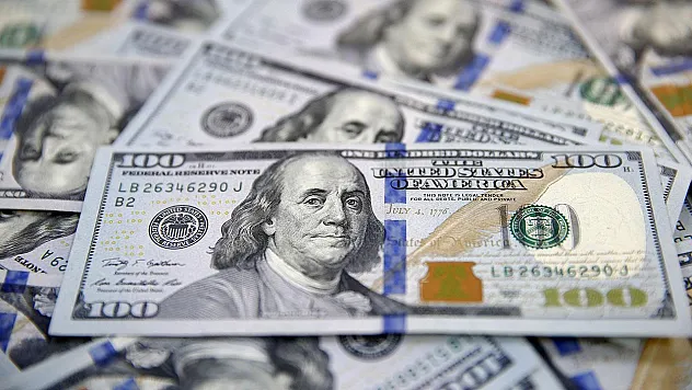 ABD'de Şirketinden 4 Milyon Dolar Çalan Kadın, Kendine 'Ölü Süse' Verdi