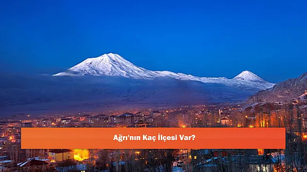 Ağrı'nın Kaç İlçesi Var?