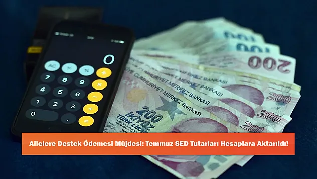 Ailelere Destek Ödemesi Müjdesi: Temmuz SED Tutarları Hesaplara Aktarıldı!