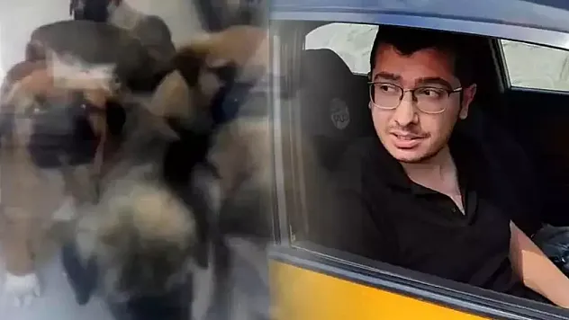 Ankara'da Hayvanlara İstismar Davasında Şok Gelişme: Doktorun Cezası Yarıya İndi