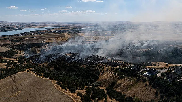 Ankara'da Orman Yangını! Yerleşim Yerleri Boşaltıldı