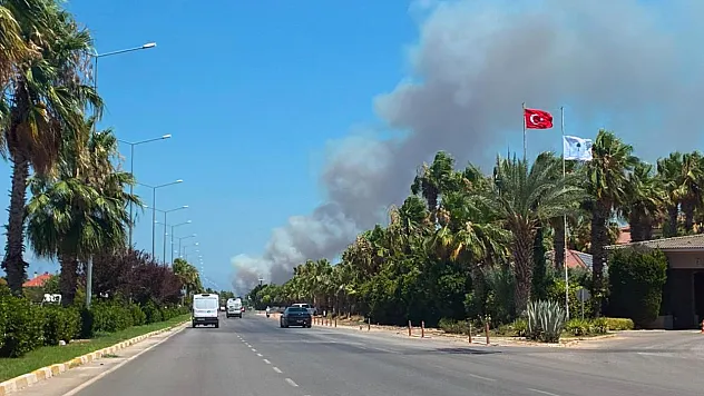 Antalya'da Orman Yangını! Bölgeye Çok Sayıda Ekip Sevk Edildi