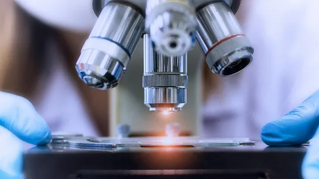 AR-GE Bütçesinde Rekor Artış! En Büyük Pay Yine Üniversitelerin Oldu