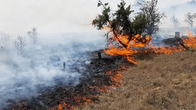 Arguvan'da Anız Yangını Paniğe Neden Oldu