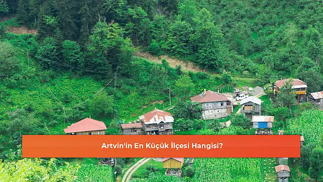 Artvin'in En Küçük İlçesi Hangisi?