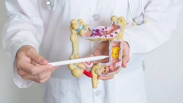 Bağırsak Sağlığında Kritik Süreç ve Ülseratif Kolit Ataklarının Gizli Nedenleri